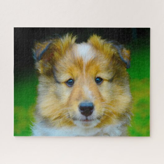 Shetland Sheep Dog Jigzaag. Legpuzzel (Horizontaal)