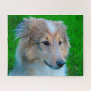 Shetland Sheep Dog Jigzaag. Legpuzzel