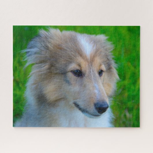 Shetland Sheep Dog Jigzaag. Legpuzzel (Horizontaal)