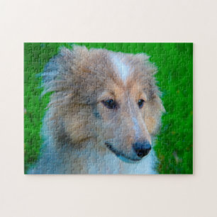 Shetland Sheep Dog Jigzaag. Legpuzzel