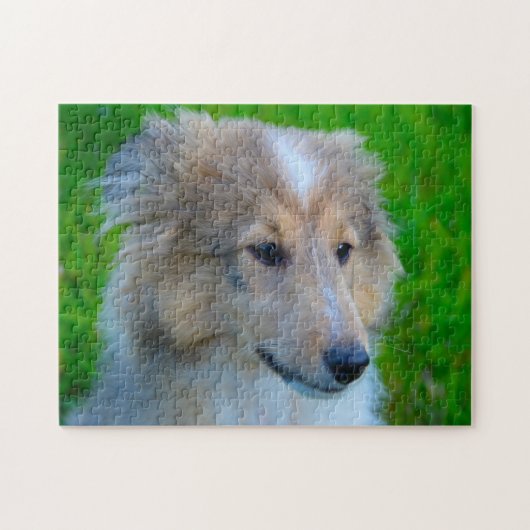 Shetland Sheep Dog Jigzaag. Legpuzzel (Horizontaal)