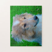 Shetland Sheep Dog Jigzaag. Legpuzzel (Verticaal)
