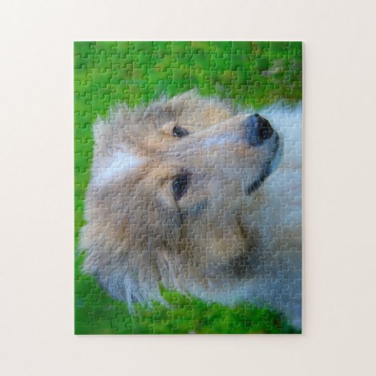 Shetland Sheep Dog Jigzaag. Legpuzzel (Verticaal)