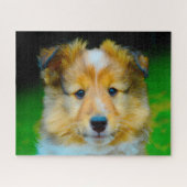 Shetland Sheep Dog Jigzaag. Legpuzzel (Horizontaal)