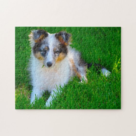 Shetland Sheep Dog Jigzaag. Legpuzzel (Horizontaal)