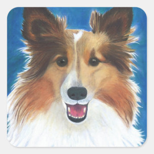 Shetland Sheep Dog Vierkante Sticker