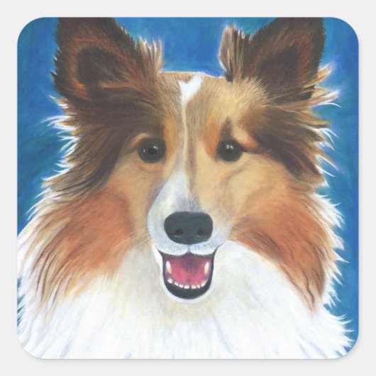 Shetland Sheep Dog Vierkante Sticker (Voorkant)