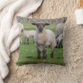 Shetland Sheep Kussen (Deken)