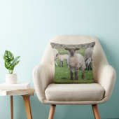 Shetland Sheep Kussen (Stoel)