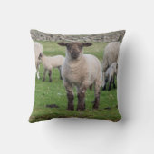 Shetland Sheep Kussen (Achterkant)