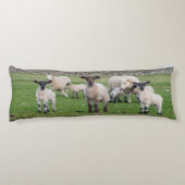 Shetland Sheep Lichaamskussen (Achterkant)