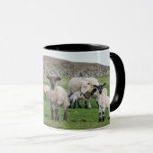 Shetland Sheep Mok (Voorkant rechts)