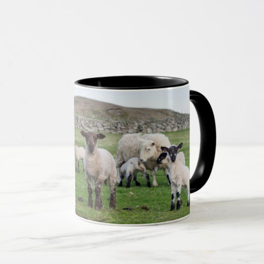 Shetland Sheep Mok (Voorkant rechts)