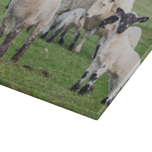 Shetland Sheep Snijplank (Hoek)