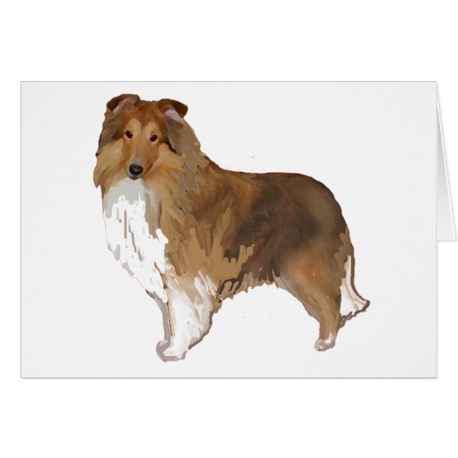 Shetland Sheepdog (Voorkant Horizontaal)