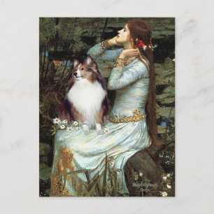 Shetland Sheepdog 18 - Ophelia Gezeten Briefkaart