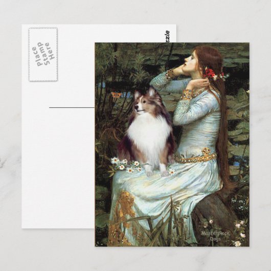 Shetland Sheepdog 18 - Ophelia Zittend Briefkaart (Voorkant / Achterkant)