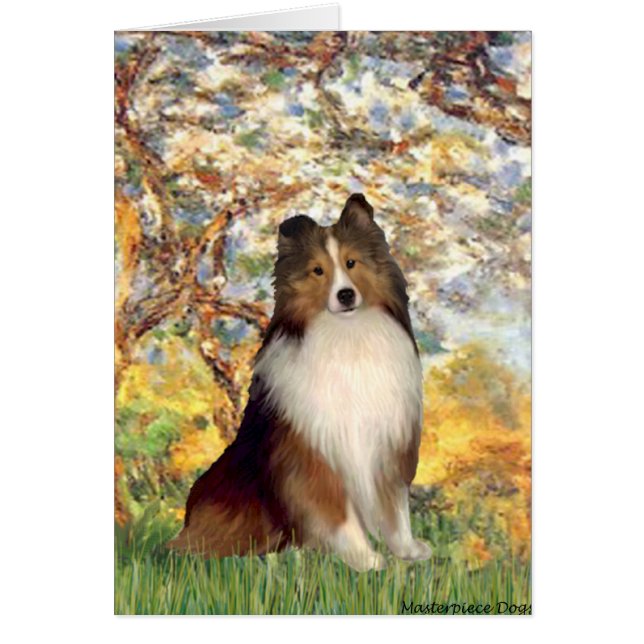 Shetland Sheepdog 1 - Lente (Voorkant)