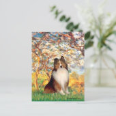 Shetland Sheepdog 1 - Lente Briefkaart (Staand voorkant)
