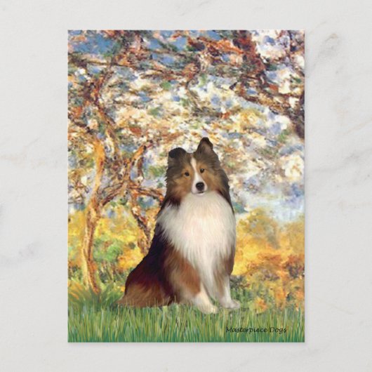 Shetland Sheepdog 1 - Lente Briefkaart (Voorkant)