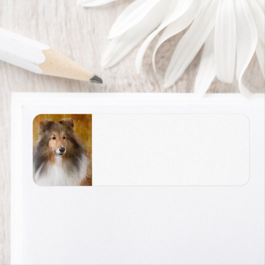 Shetland Sheepdog Adreslabel Etiket (Insitu)