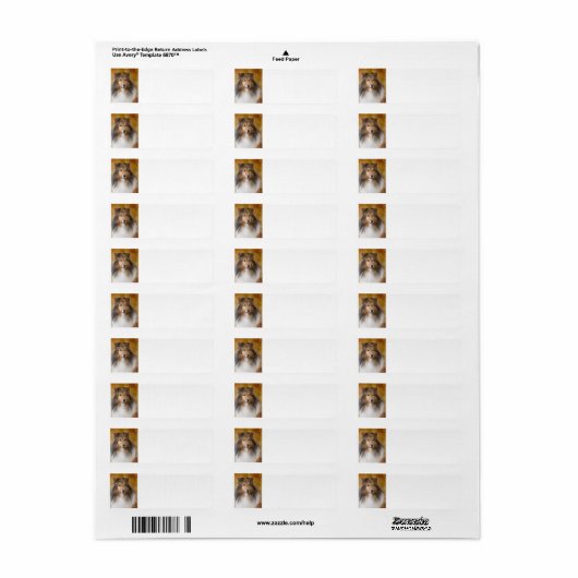 Shetland Sheepdog Adreslabel Etiket (Full Sheet)