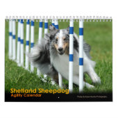 Shetland Sheepdog Agility Calendar Kalender (Hoes)