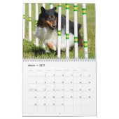 Shetland Sheepdog Agility Calendar Kalender (Mar 2027)