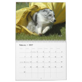 Shetland Sheepdog Agility Calendar Kalender (Feb 2027)