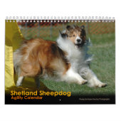 Shetland Sheepdog Agility Calendar Kalender (Hoes)
