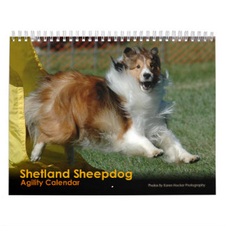 Shetland Sheepdog Agility Calendar Kalender