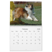 Shetland Sheepdog Agility Calendar Kalender (Feb 2026)
