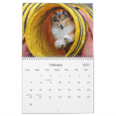 Shetland Sheepdog Agility Calendar Kalender (Feb 2027)