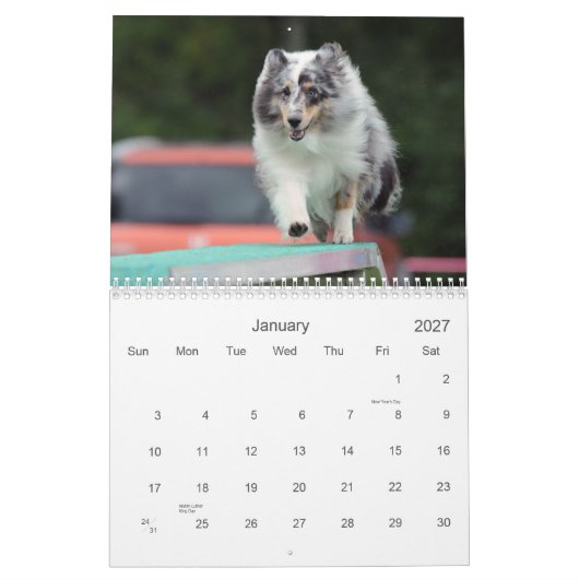 Shetland Sheepdog Agility Calendar Kalender (Jan 2027)