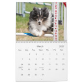 Shetland Sheepdog Agility Calendar Kalender (Mar 2027)