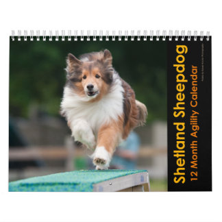 Shetland Sheepdog Agility Calendar Kalender
