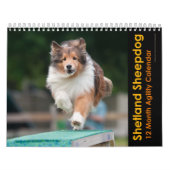 Shetland Sheepdog Agility Calendar Kalender (Hoes)