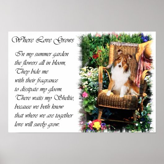 Shetland Sheepdog Art Gifts Poster (Voorkant)