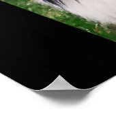 Shetland Sheepdog Art Print (Hoek)