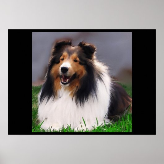 Shetland Sheepdog Art Print (Voorkant)