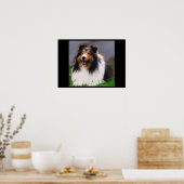 Shetland Sheepdog Art Print (Keuken)