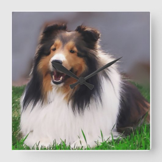 Shetland Sheepdog Art Vierkante Klok (Voorkant)