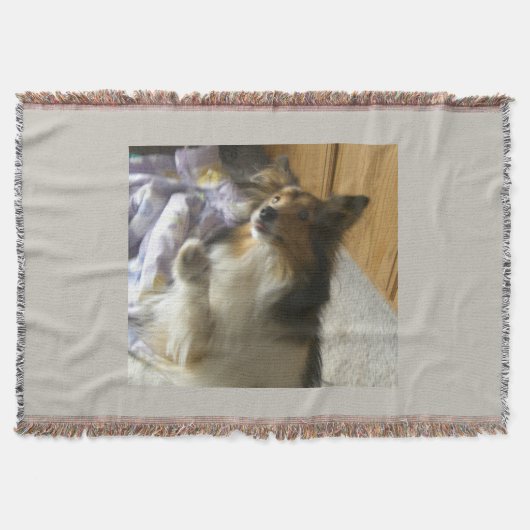 Shetland Sheepdog Bedelen Deken (Voorkant)
