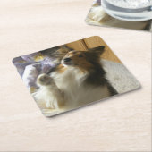Shetland Sheepdog Bedelen Kartonnen Onderzetters (Schuin)