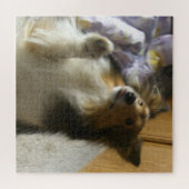 Shetland Sheepdog Bedelen Legpuzzel (Horizontaal)