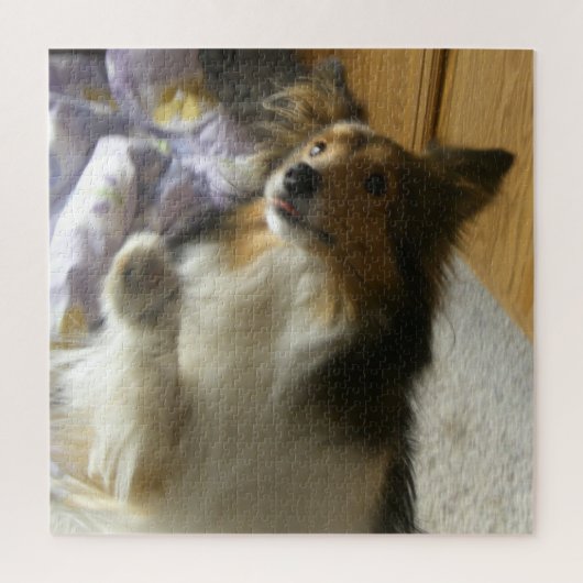 Shetland Sheepdog Bedelen Legpuzzel (Verticaal)