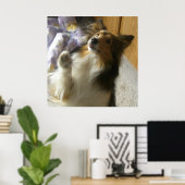 Shetland Sheepdog Bedelen Poster (Thuiskantoor)