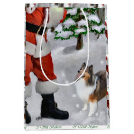 Shetland Sheepdog Believe Kerstmis Medium Cadeauzakje