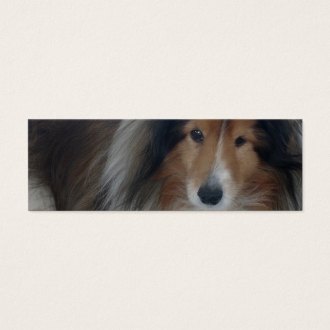 Shetland Sheepdog-Bladwijzer Mini Visitekaartjes (Voorkant)