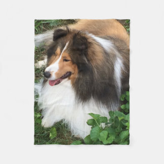 Shetland Sheepdog Blanket Fleece Deken